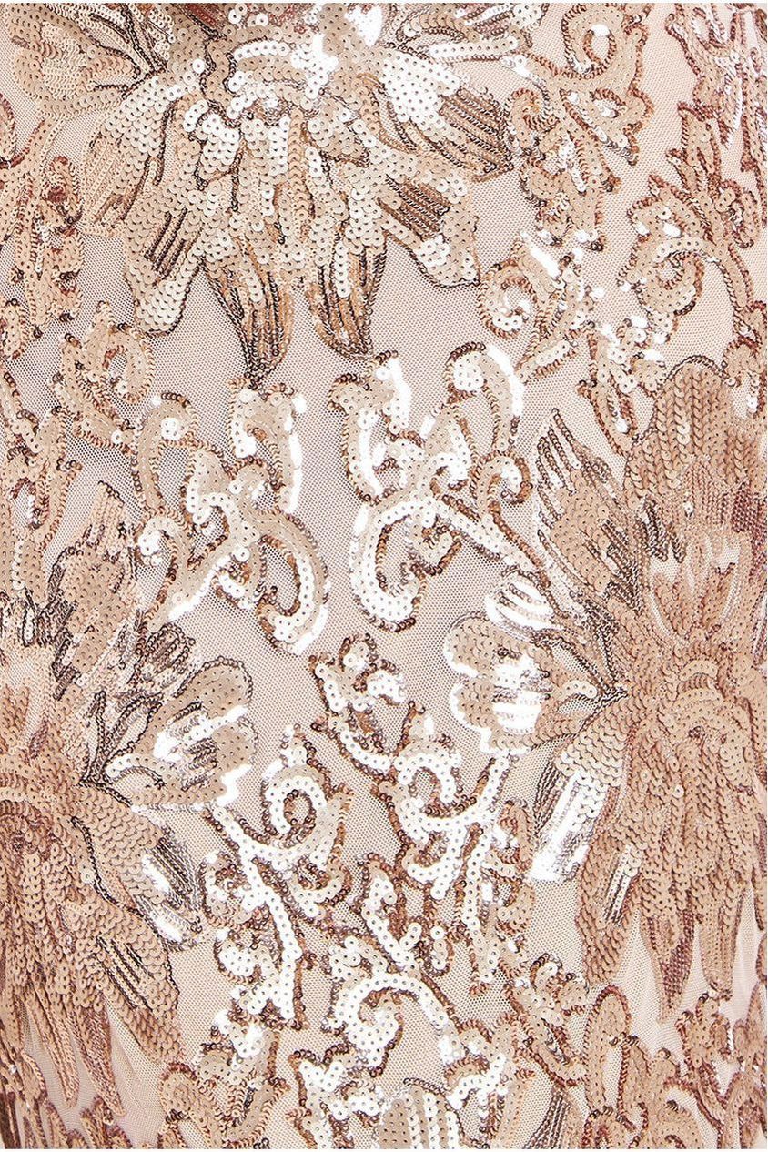 Floral Sequin Mesh Maxi Dress - Champagne DR4041M