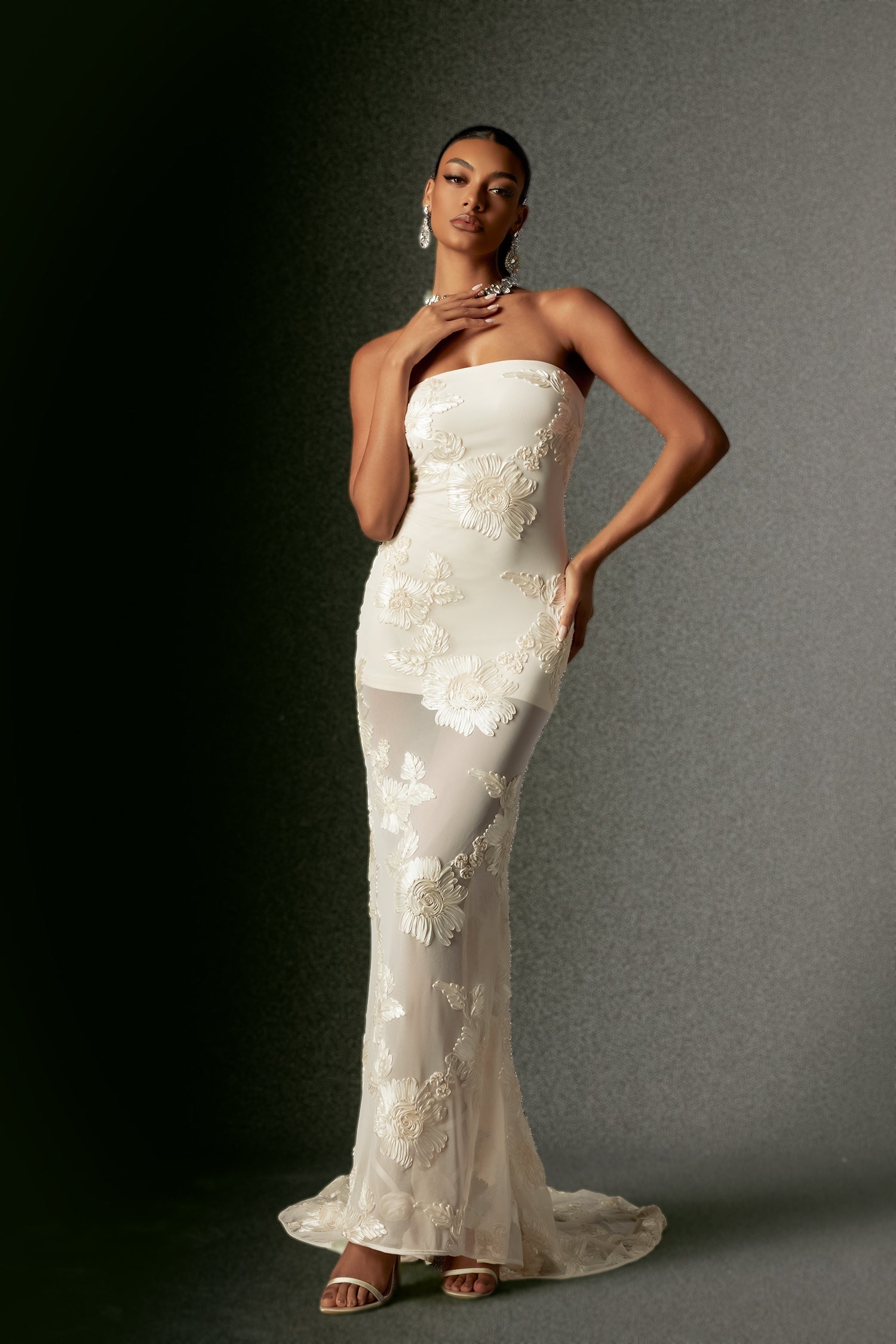 Deliyn Strapless Embroidery Flower Mesh Maxi Dress D240801221