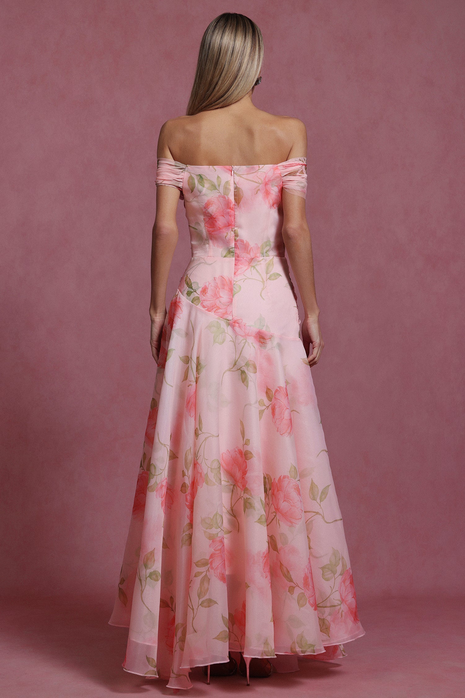 Jussi Sleeveless Flowers Flounce Maxi Dress D250401104