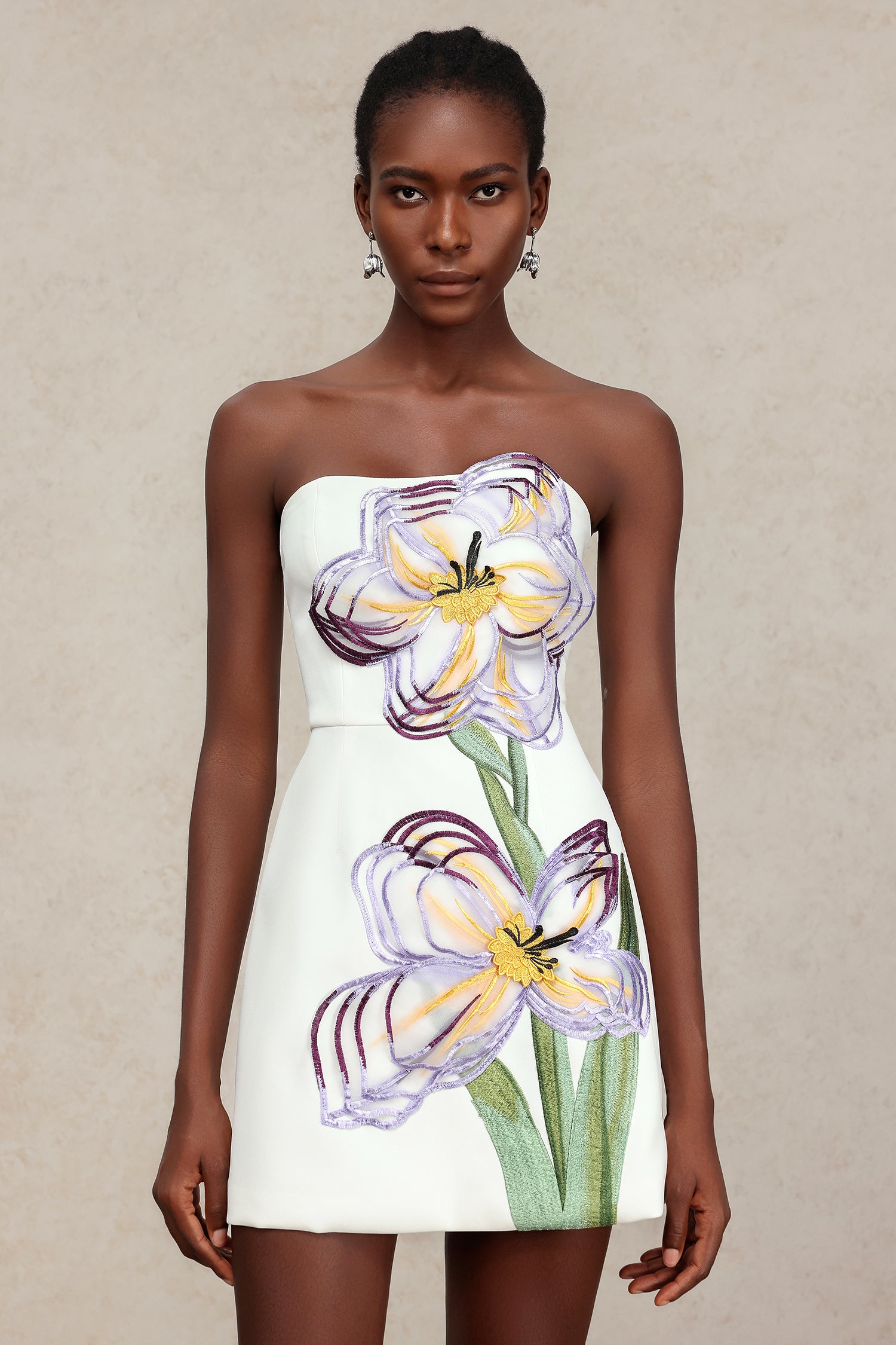 Ginny Sleeveless Embroidery Flowers Mini Dress C250700001