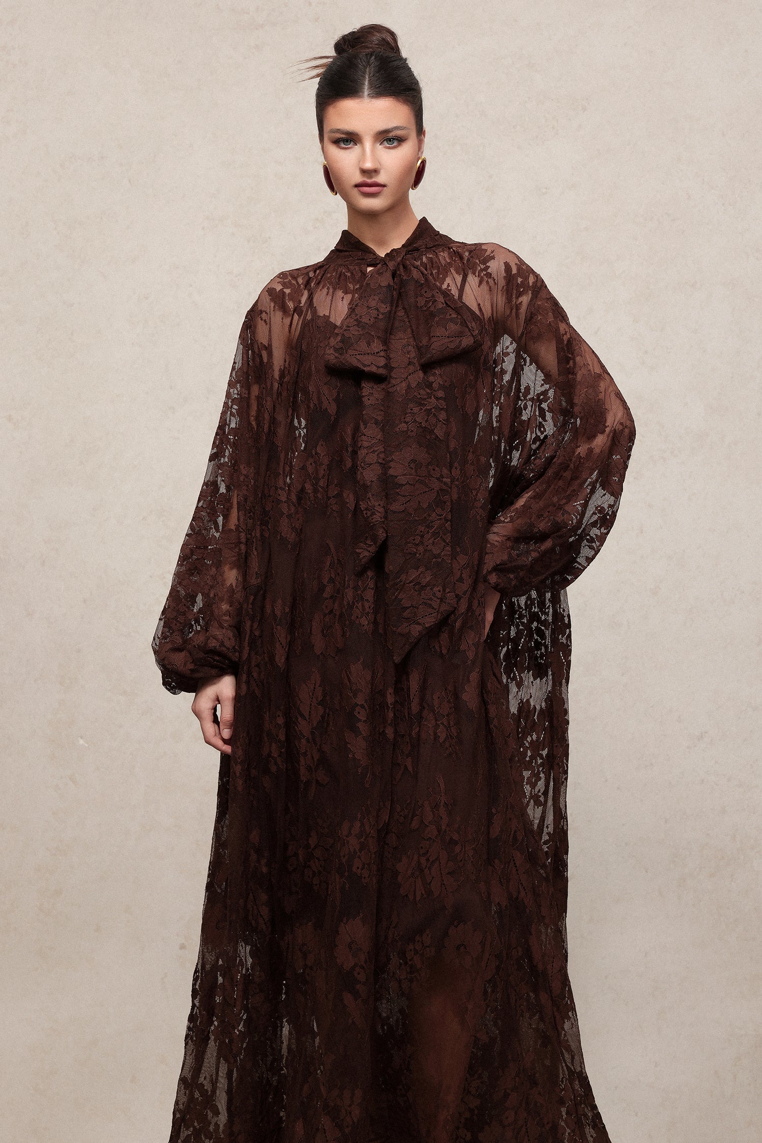 Deliyn Resort Flowy Long Sleeve Embroidered Mesh Lace Maxi Dress C251000037