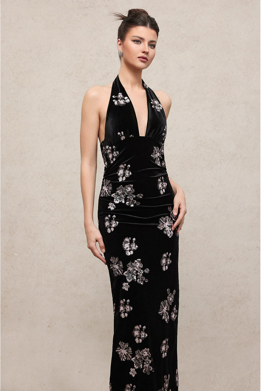 Velma Vintage Romantic V Neck Sleeveless Sequin Embroidered Velvet Maxi Dress C251000018