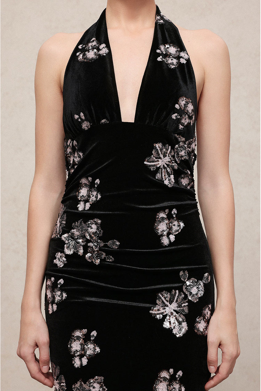 Velma Vintage Romantic V Neck Sleeveless Sequin Embroidered Velvet Maxi Dress C251000018