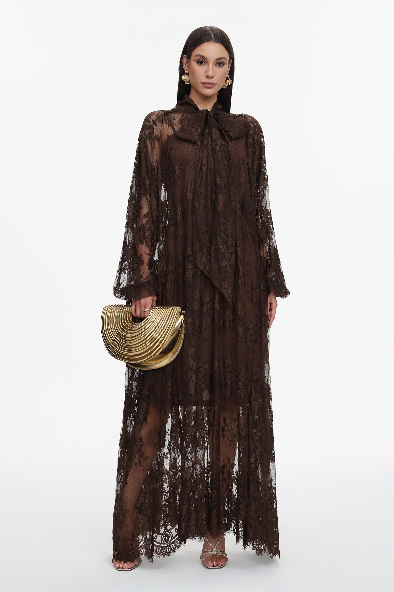 Deliyn Resort Flowy Long Sleeve Embroidered Mesh Lace Maxi Dress C251000037