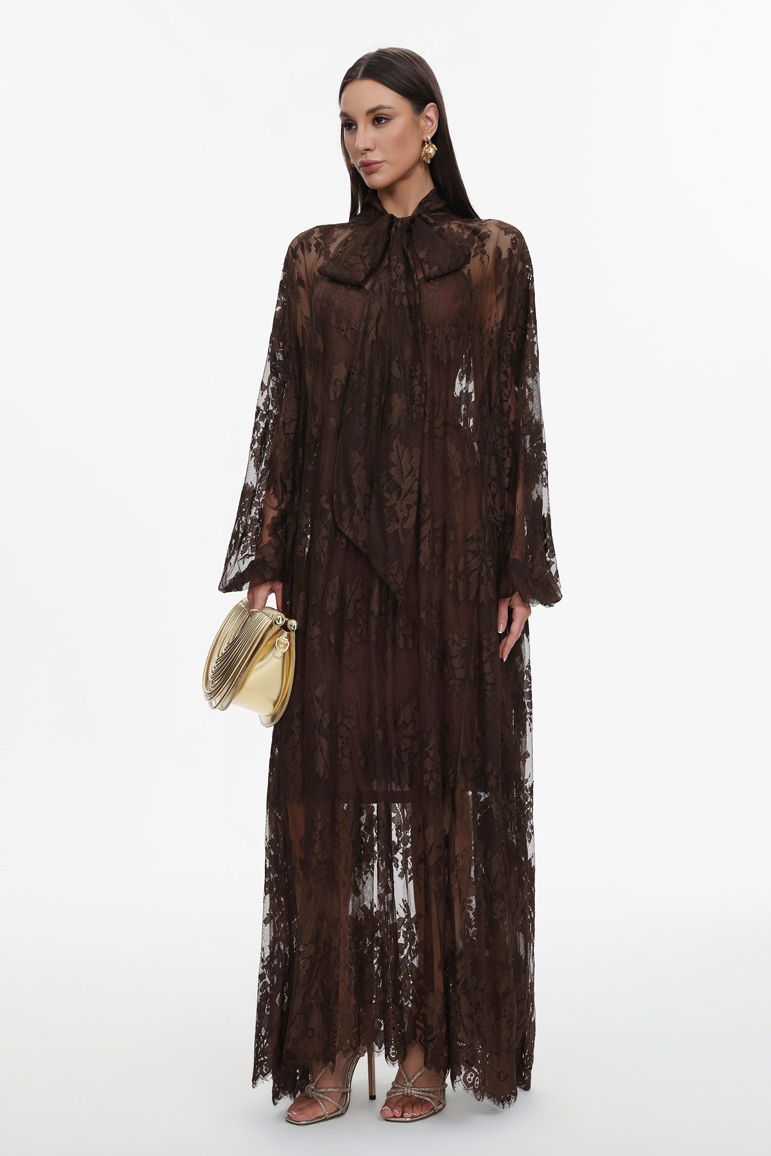Deliyn Resort Flowy Long Sleeve Embroidered Mesh Lace Maxi Dress C251000037
