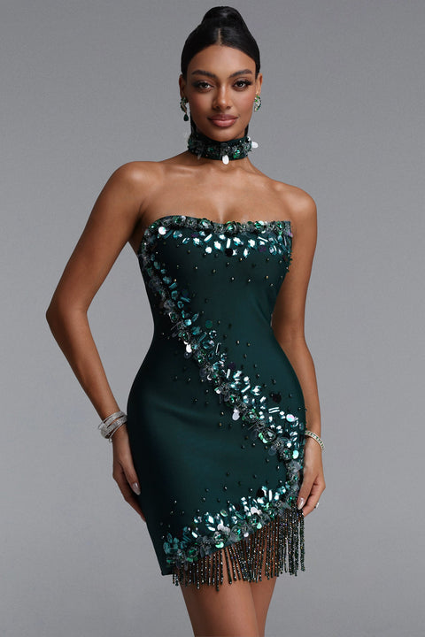 Ock Exquisite Fitted Sequin Rhinestone Beaded Fringe Mini Bandage Dress by Bella Barnett