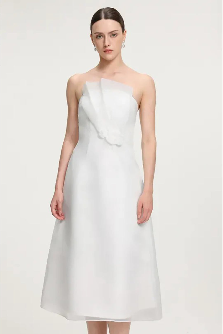 Ruffled Organza Midi Dress R2509MZ002