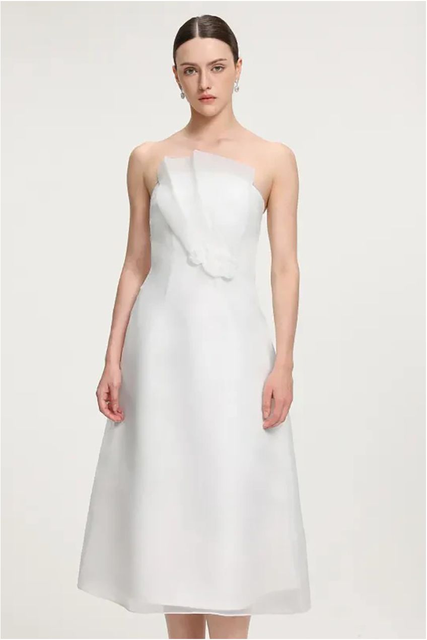 Ruffled Organza Midi Dress R2509MZ002