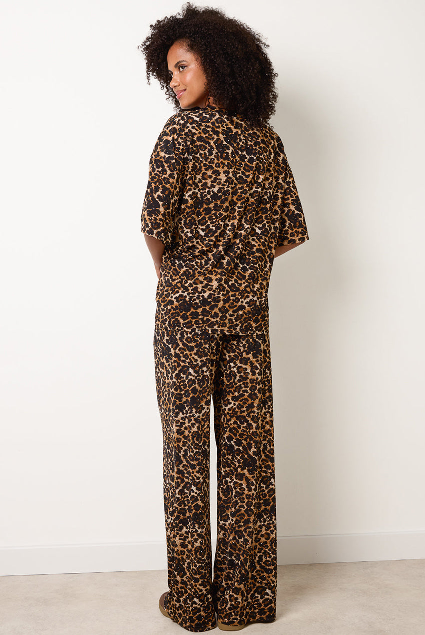 Diamante Cheetah Set BV261824057