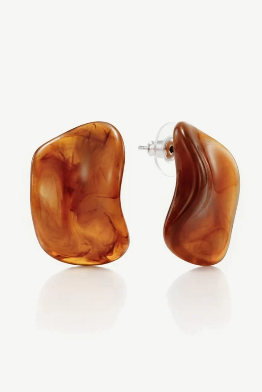 Brown Resin Stud Earrings 676
