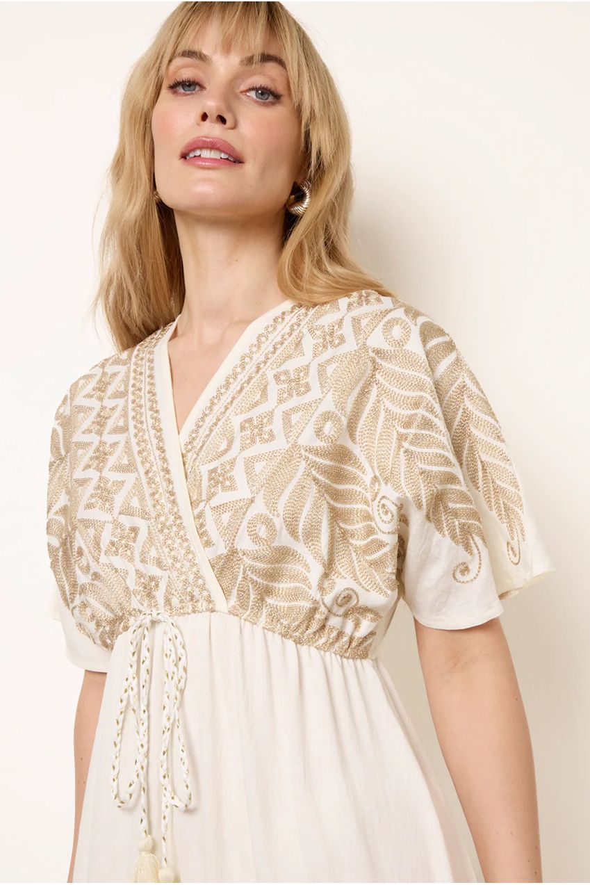 Metallic Embroidered Maxi Dress CC2729BV006