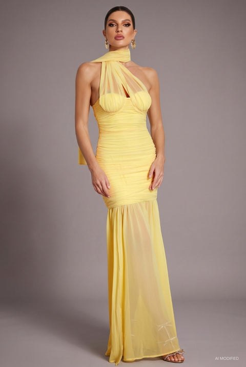Ulasa Sleeveless Ruched Mesh Maxi Dress by Bella Barnett