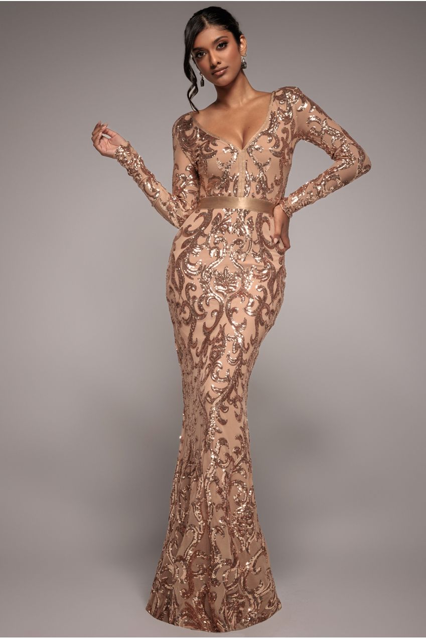 Embroidered Sequin & Mesh Maxi Dress - Champagne DR2558