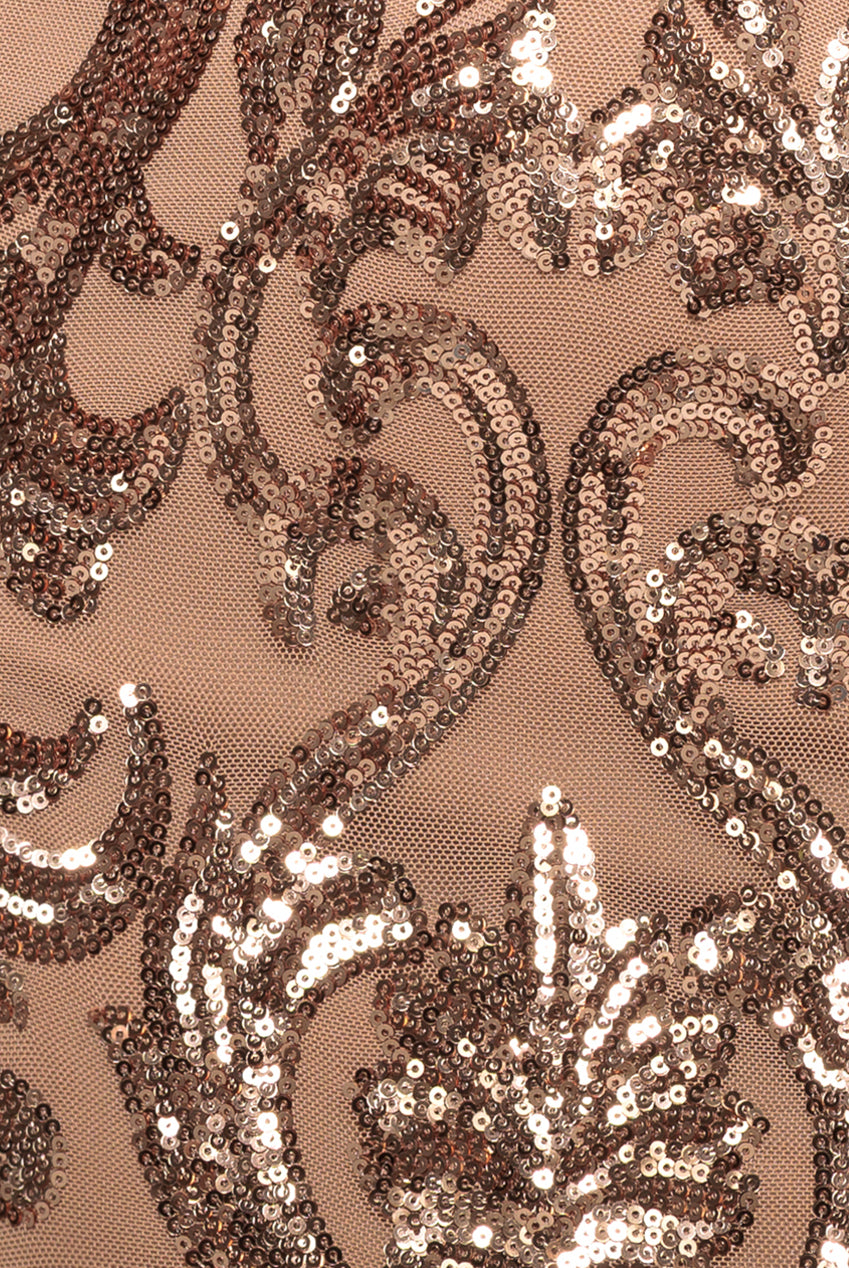 Embroidered Sequin & Mesh Maxi Dress - Champagne DR2558