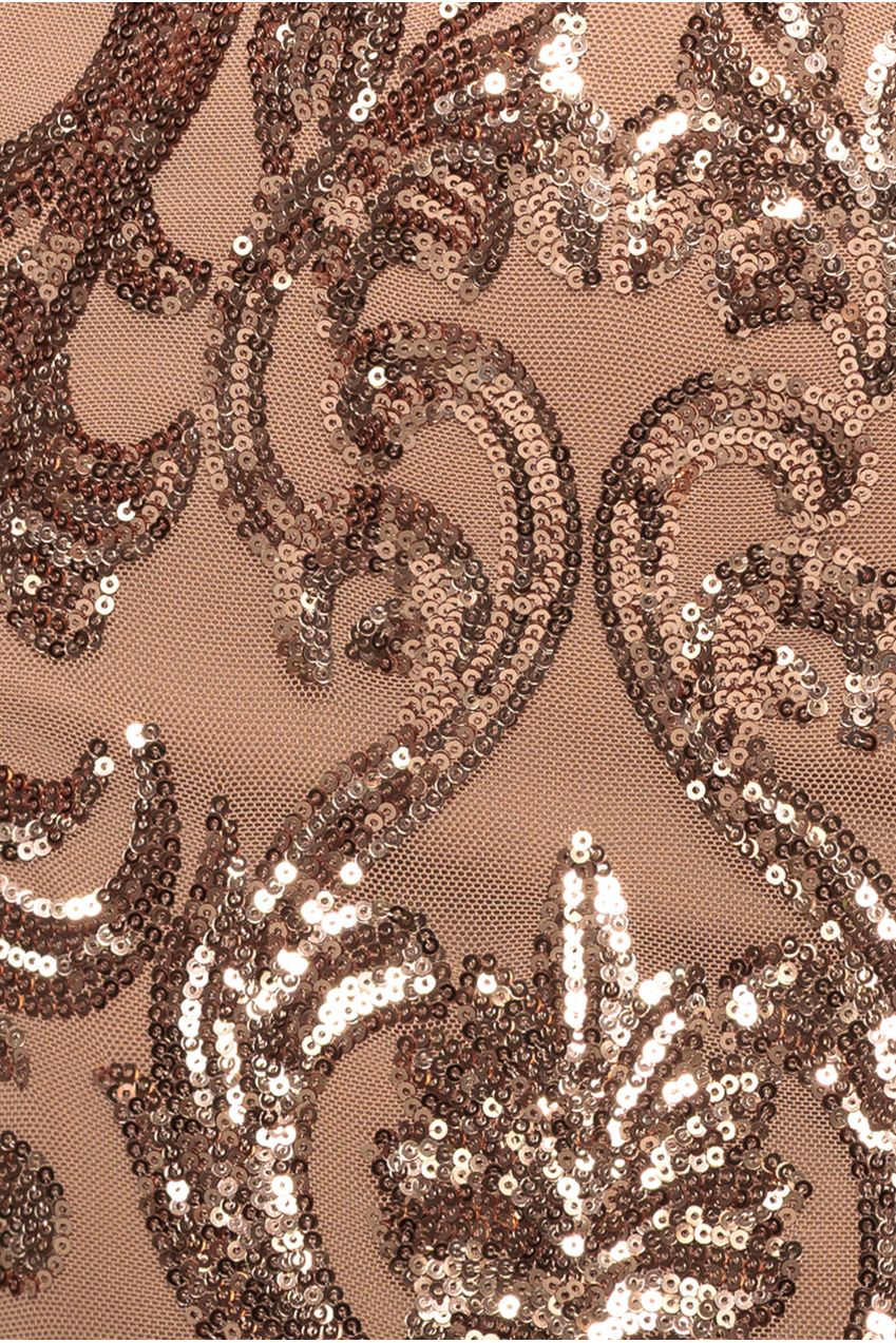 Embroidered Sequin & Mesh Maxi Dress - Champagne DR2558