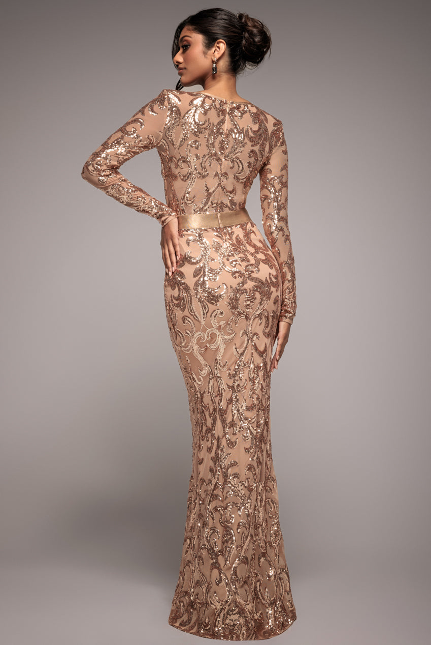 Embroidered Sequin & Mesh Maxi Dress - Champagne DR2558