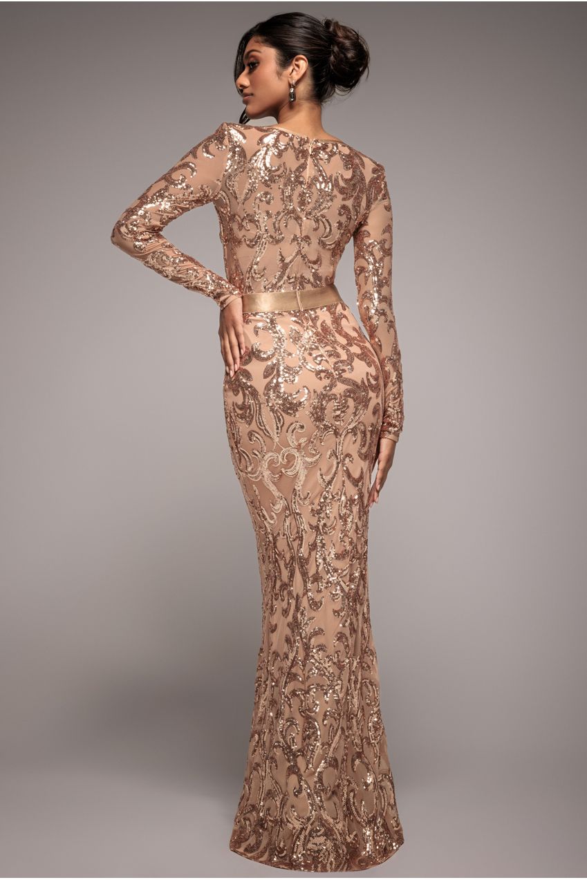 Embroidered Sequin & Mesh Maxi Dress - Champagne DR2558