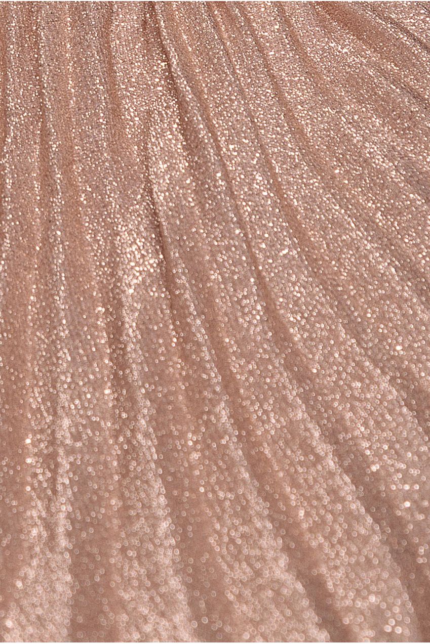 Bardot Pleated Skirt Maxi Dress - Blush DR3096A