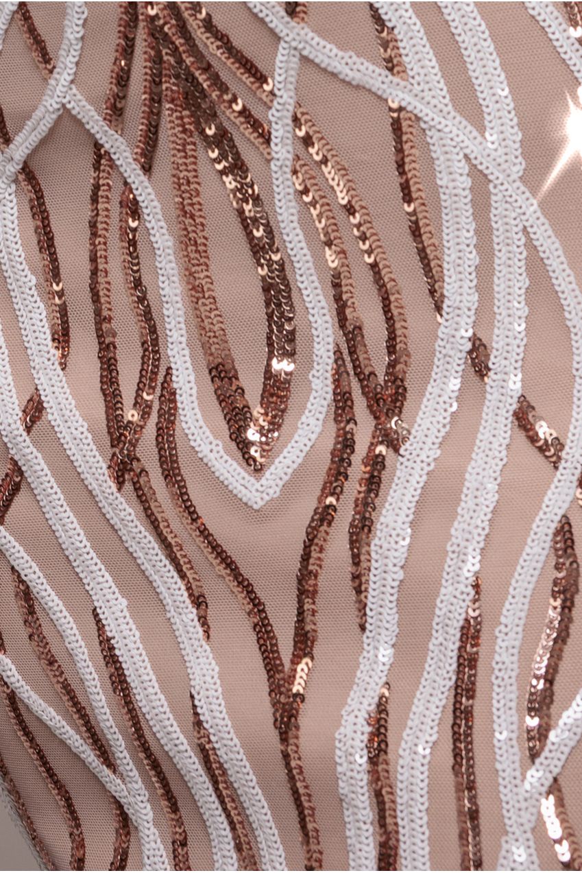 Long Sleeve Sequin Flame Maxi - Champagne DR3486