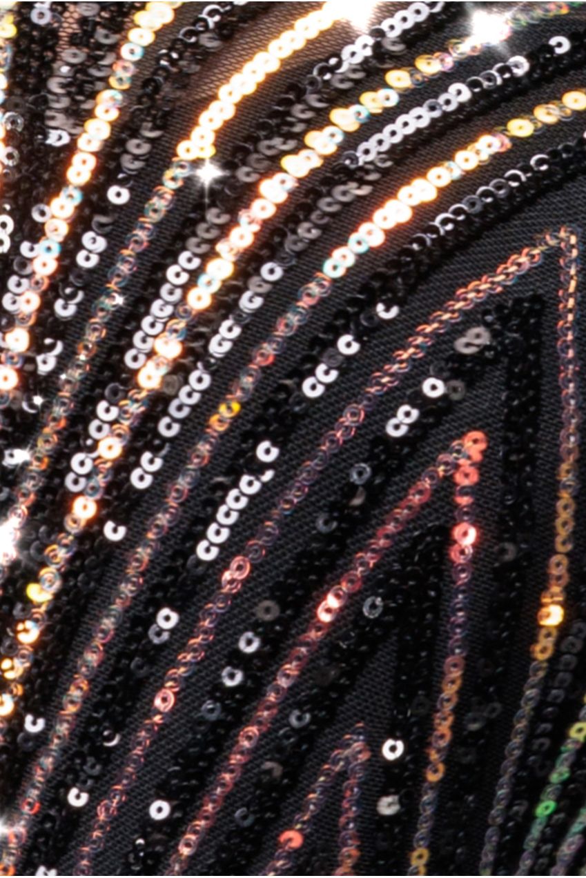 Two Toned V Neck Sequin Maxi - Black DR3494