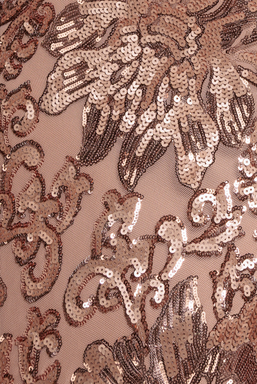 Floral Sequin Mesh Maxi - Champagne DR4041