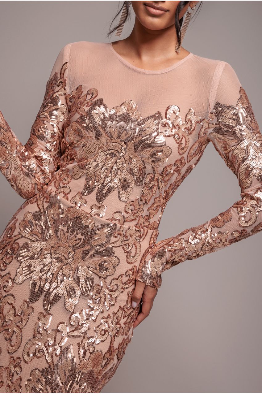 Floral Sequin Mesh Maxi - Champagne DR4041