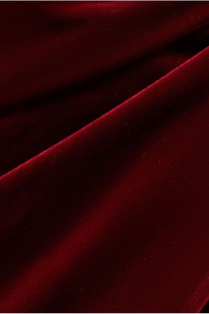 Draped Shoulder Velvet Corset Maxi Dress - Wine DR4044