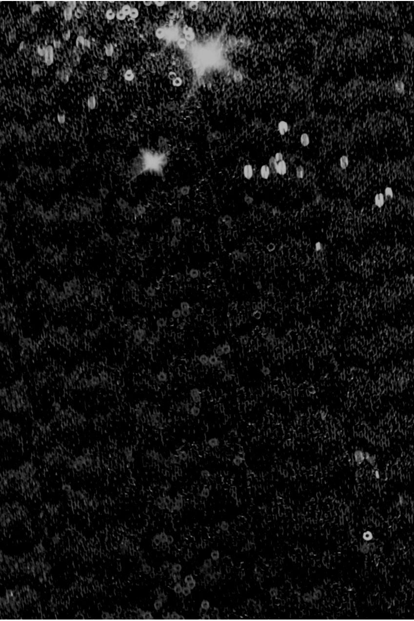 Sequin Skater Shirt Dress - Black DR4061