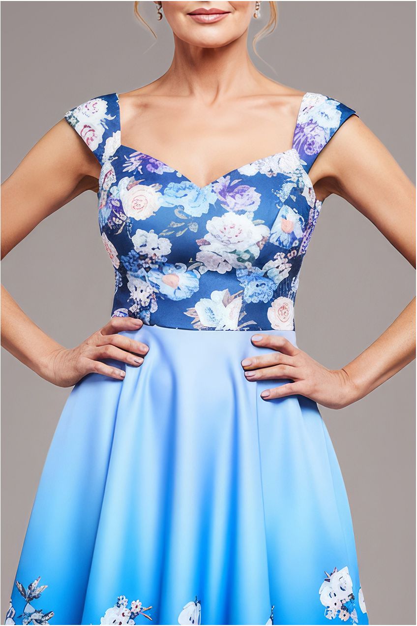 Floral Printed Scuba Foam Skater Dress - Blue DR4269M