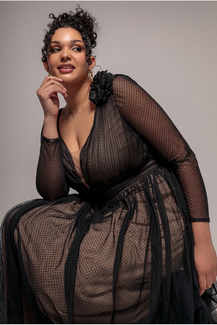 Corsage Dobby Mesh A-Line Maxi Dress - Black DR4414PLUS
