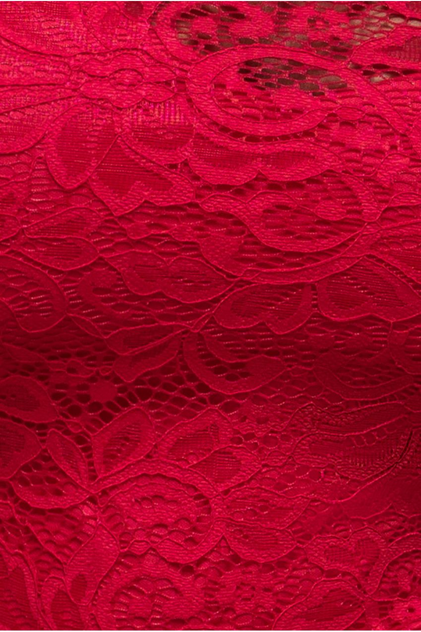 Lace High Neck Sheer Bodice Long Sleeve Maxi Dress - Red DR4677