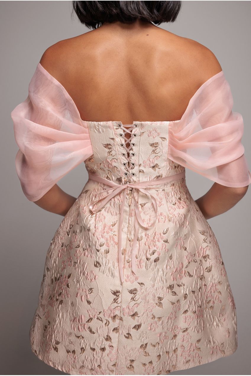 Lace Up Jacquard Mini Dress With Organza Wings - Blush Pink DR4781