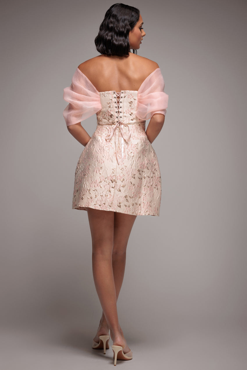 Lace Up Jacquard Mini Dress With Organza Wings - Blush Pink DR4781