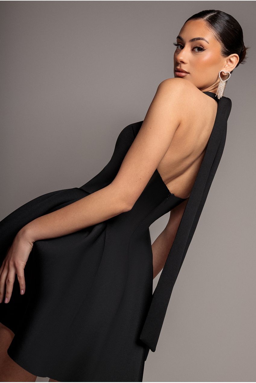 Corset Fit And Flare Halter Neck Skater Mini Dress - Black DR5107