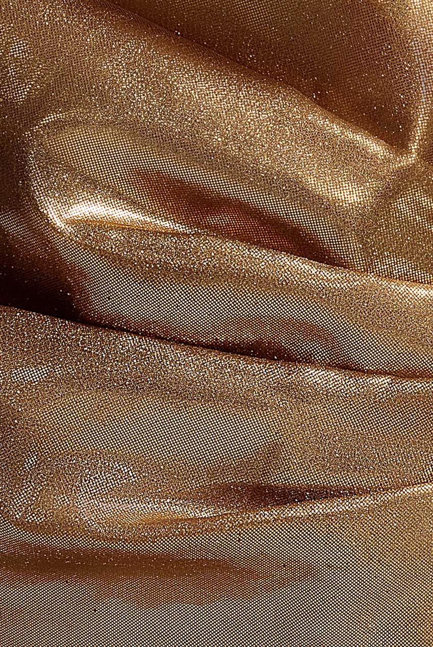 Plunge Neck Bardot Foil & Organza Maxi Dress - Gold DR5145