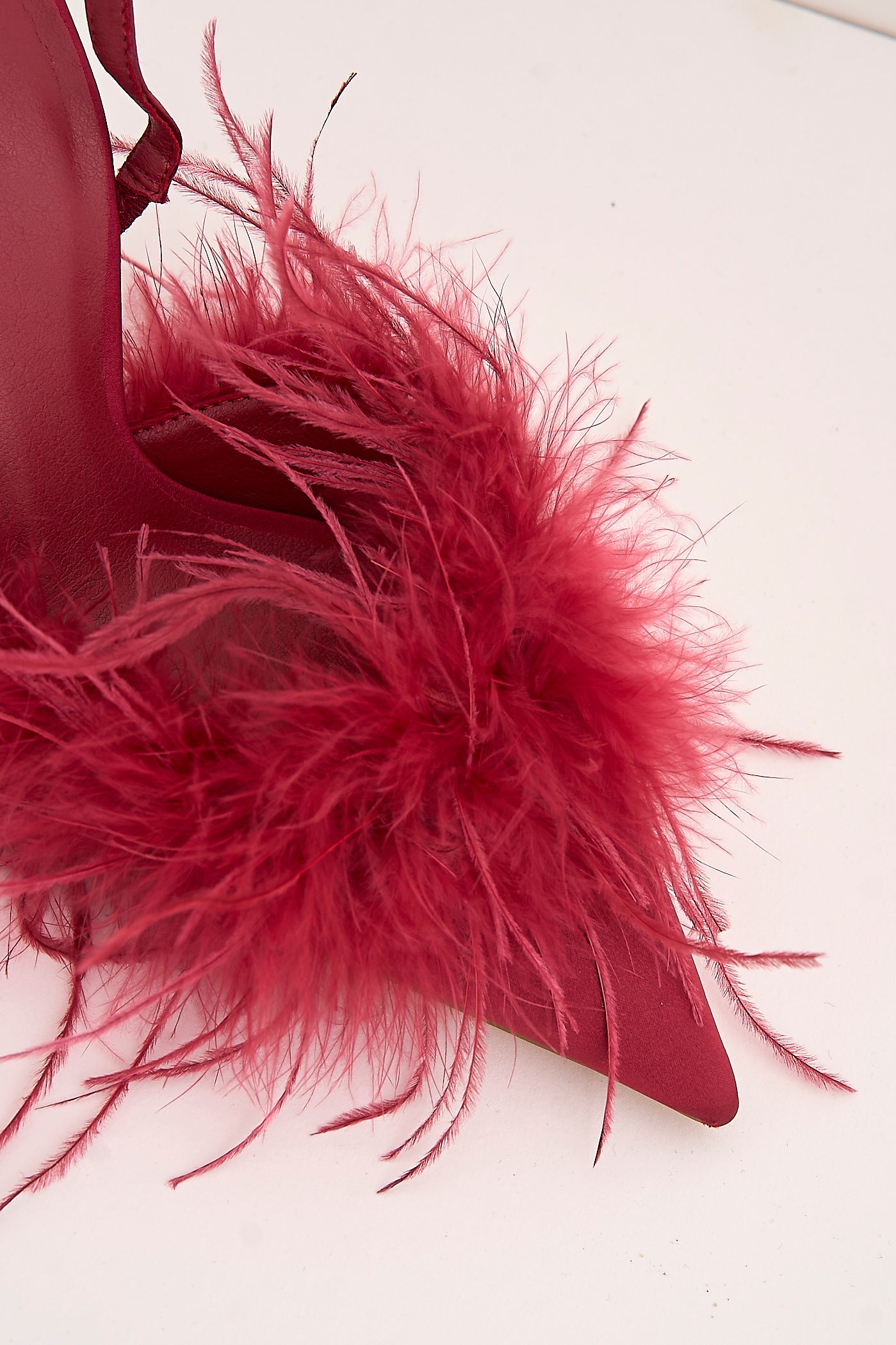 Aisla Pointed Toe Feather Slingback Court Shoes In Red P-1367-RED