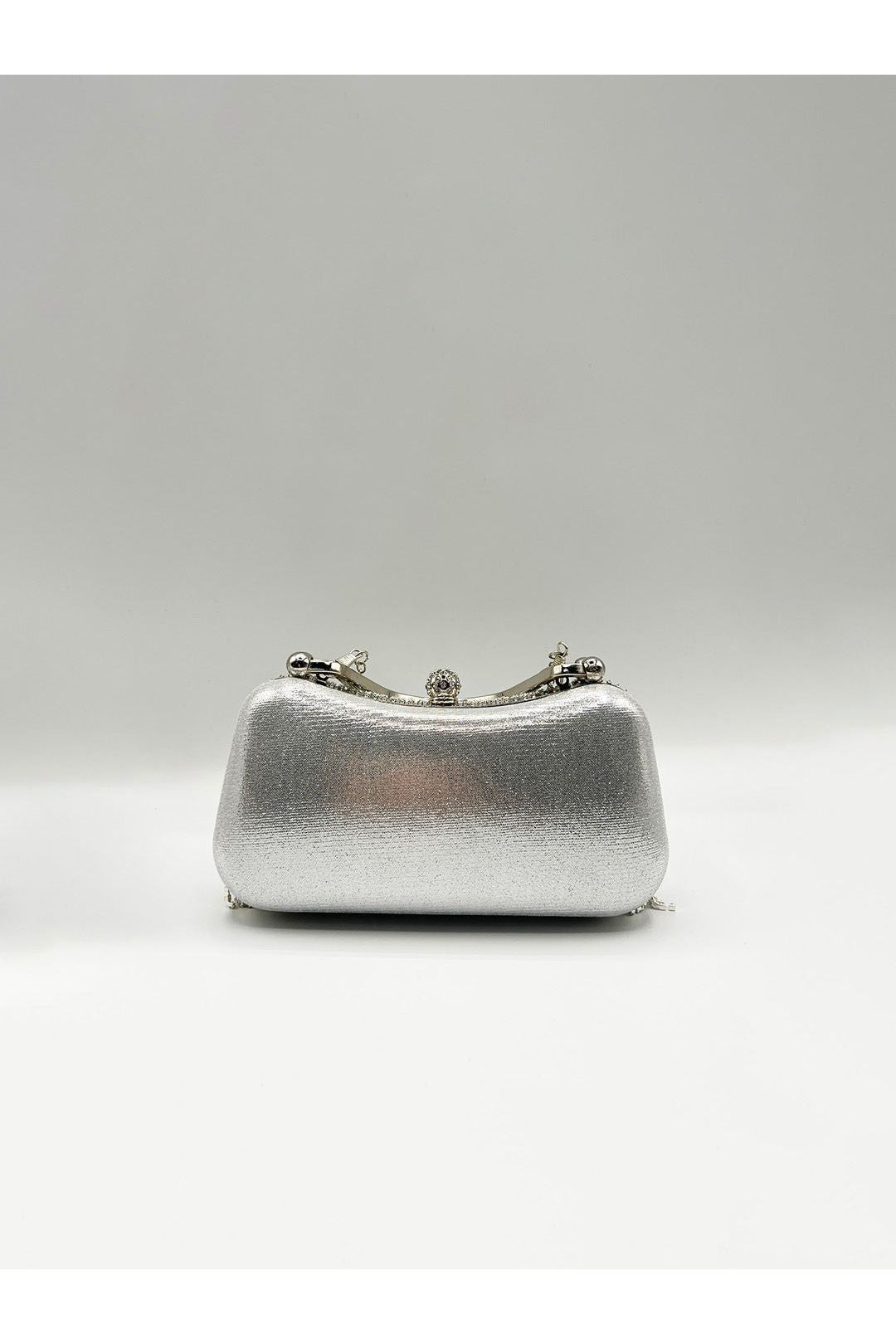 Embellished Fringe Clutch Bag In Silver HB362021