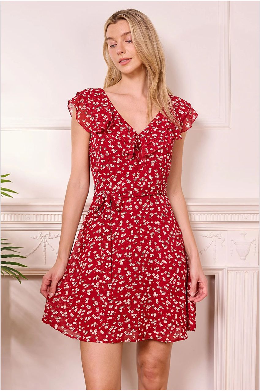 Red Ditsy Mini Dress With V-neck Ruffles J042571