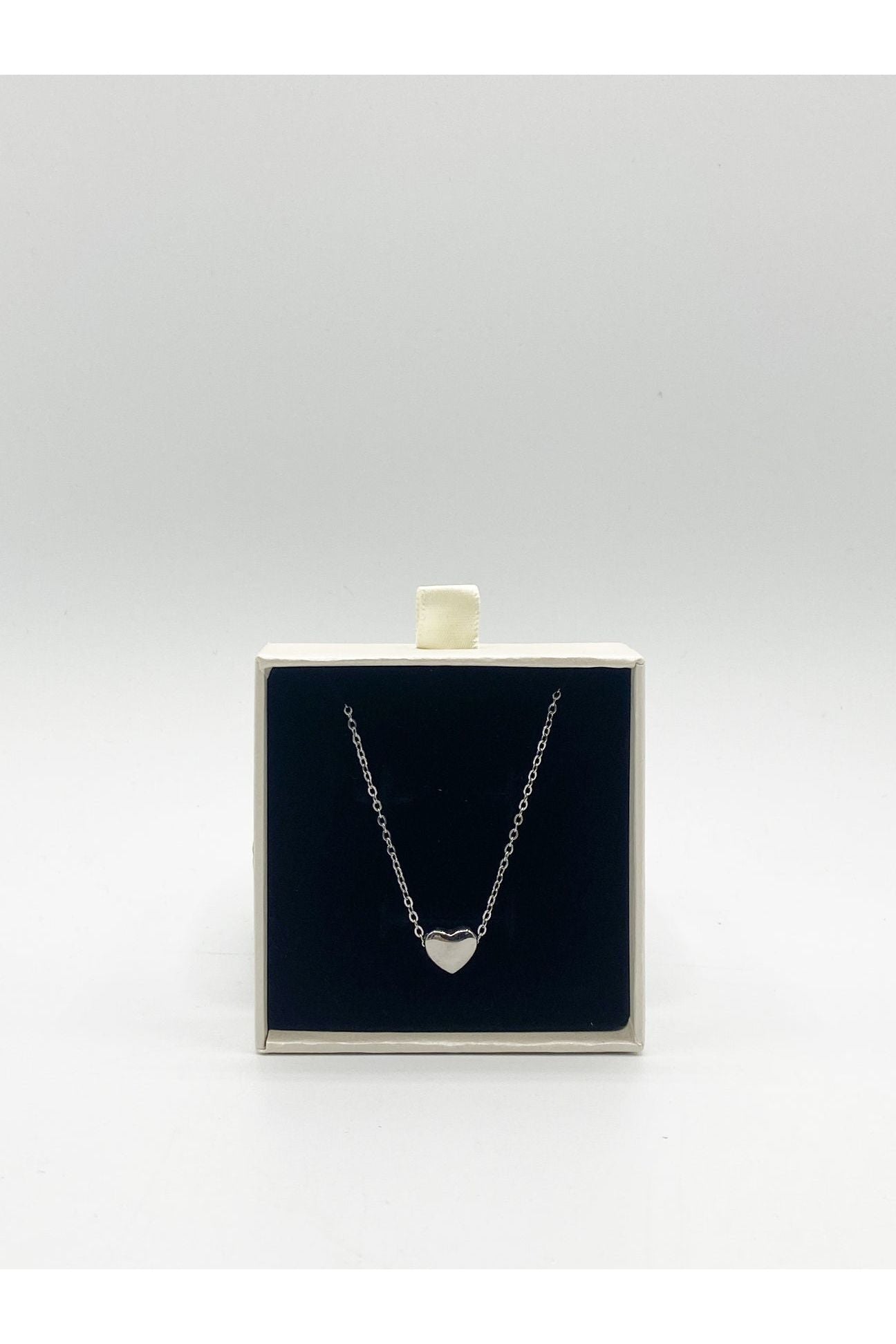 Small Heart Necklace In Silver JE400221