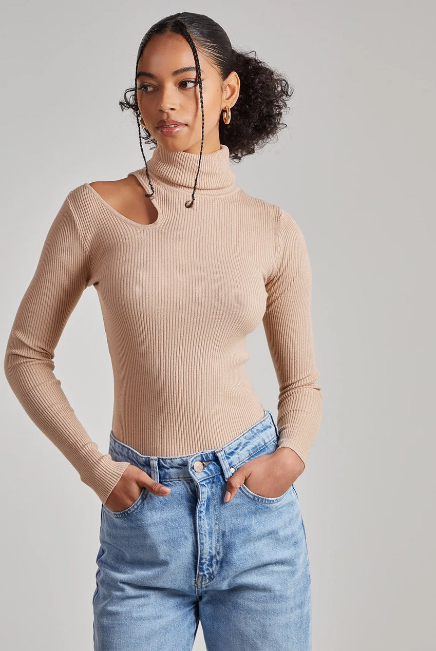 Knit Cut Out Turtle Neck Top PV1341