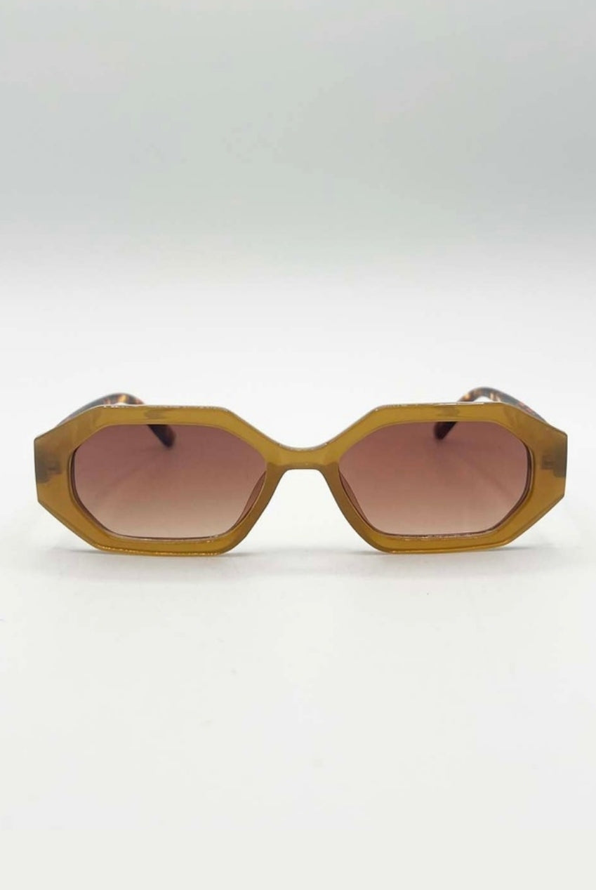 Oval Geomentric Sunglasses In Tortoise Brown SG2502006
