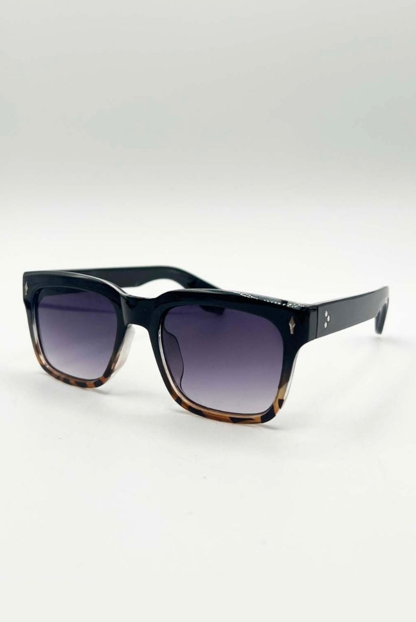 Square Sunglasses In Black Leopard SG2502302
