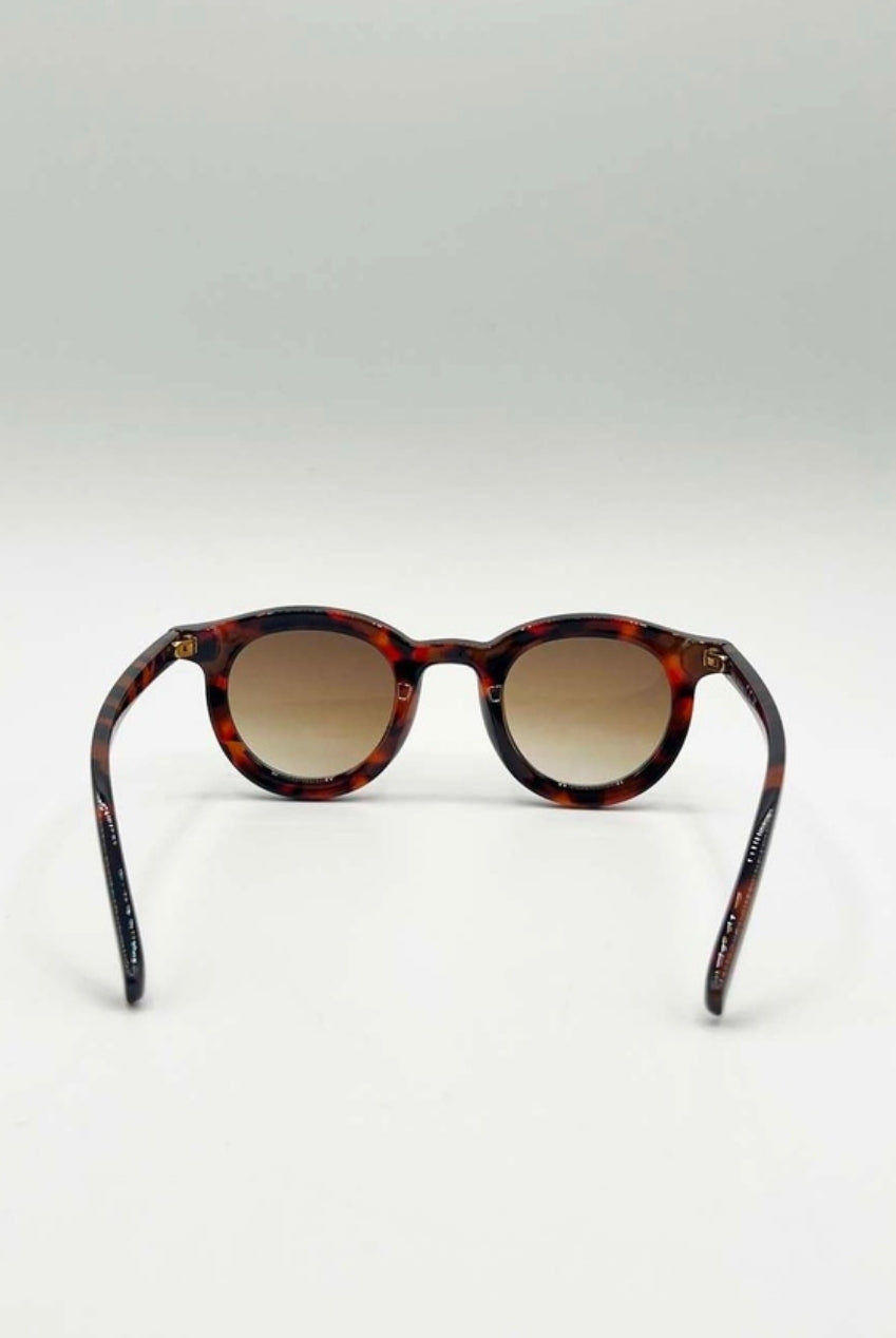Bold Rounded Sunglasses In Tortoiseshell SG2502705