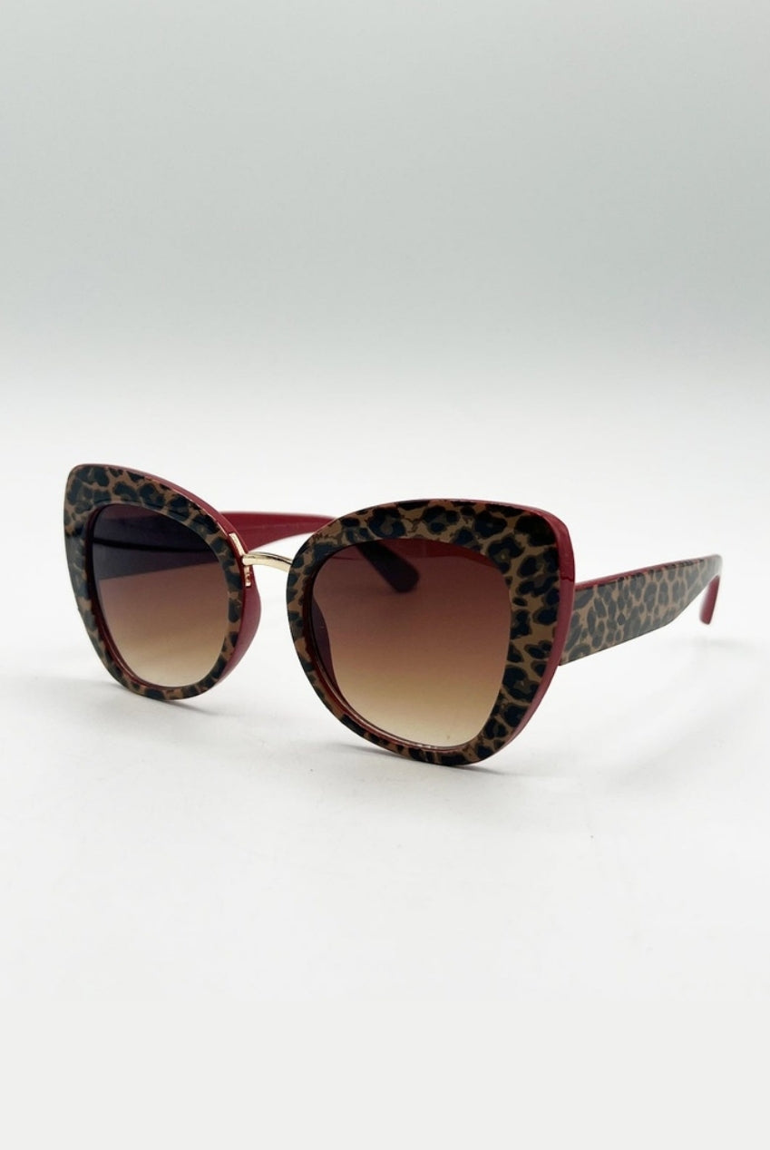 Oversized Cat-Eye Sunglasses In Brown Red SG2510610