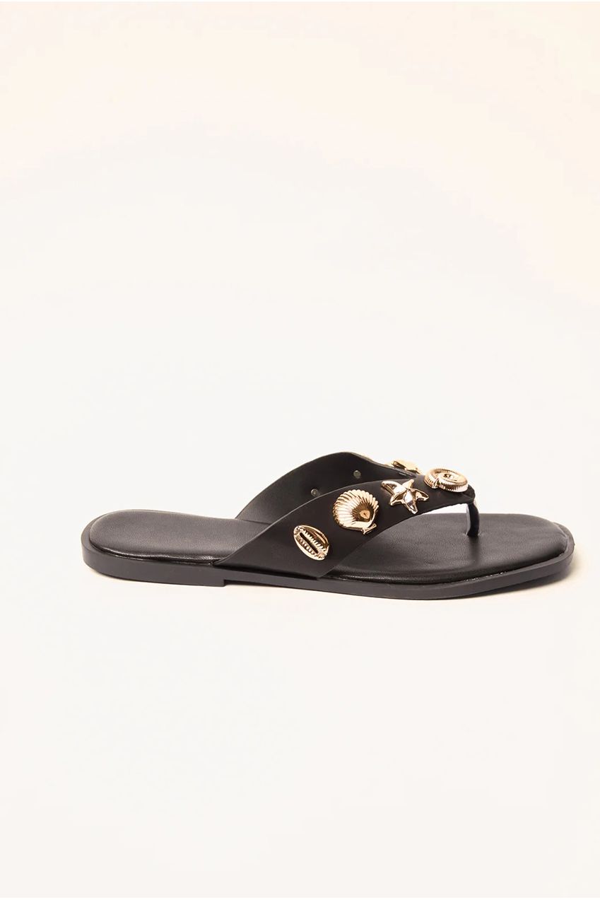 Sea Life Embellished Flip Flops SS26196B003