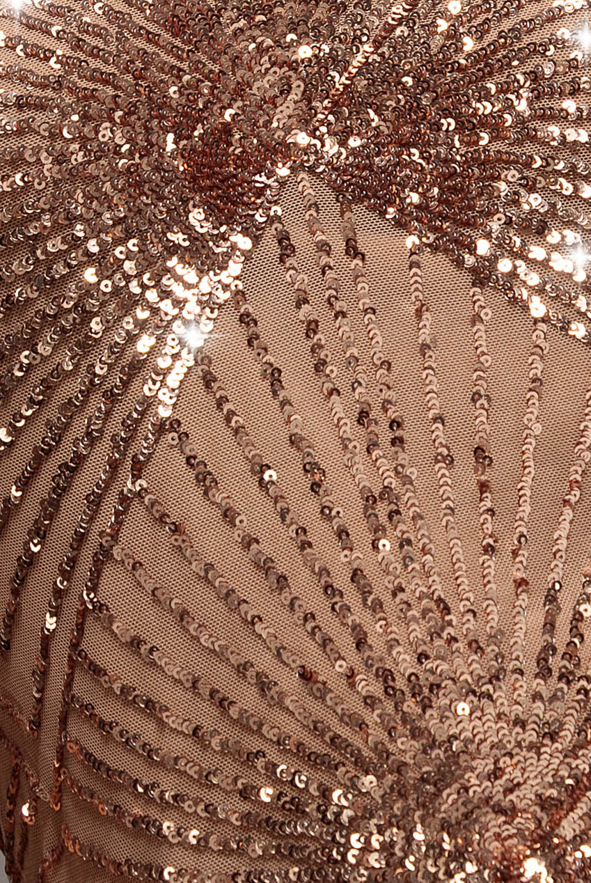 Sequin Starburst Cape Sleeve Top - Champagne T224
