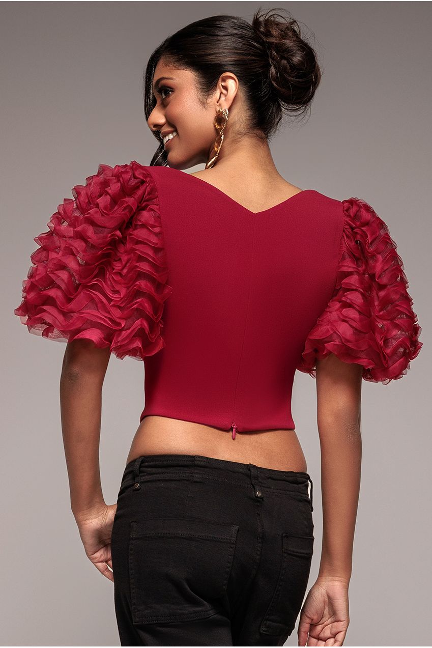 3D Textured Sleeve Scuba Corset Top - Burgundy T235