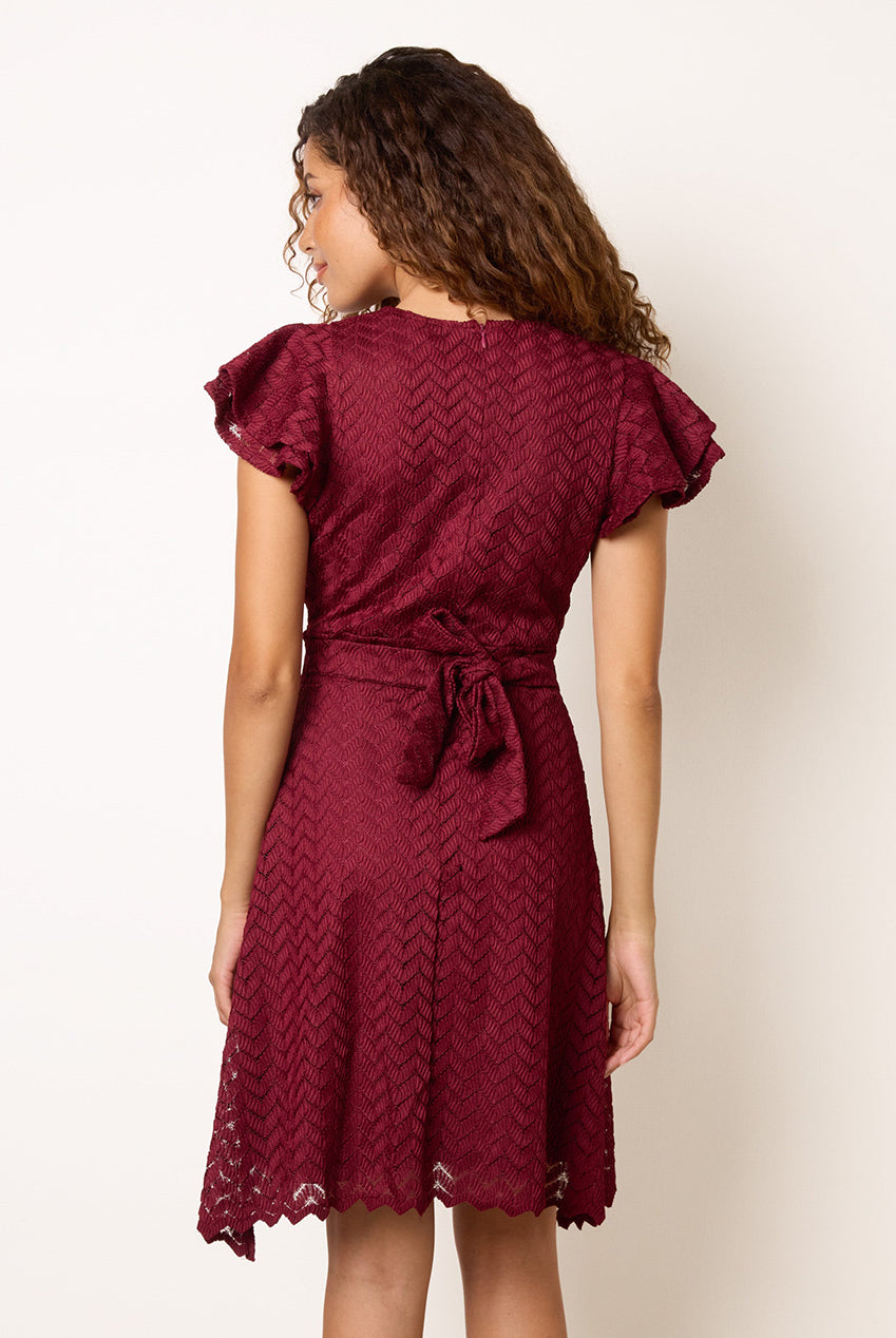 Crochet Detailed Frill Sleeve Wrap Mini Dress AW26010B034