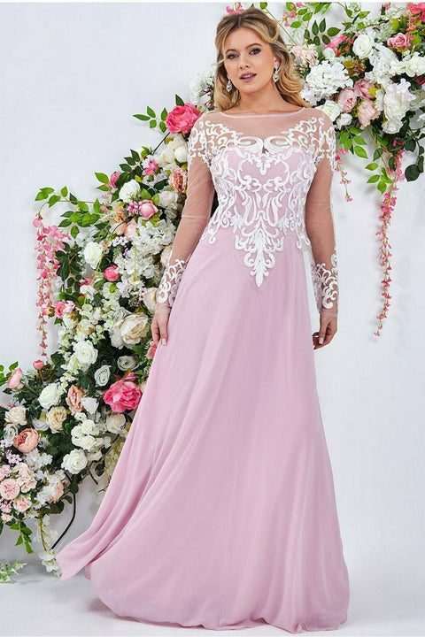Mesh & Lace Embroidered Bodice Maxi - Blush by Goddiva