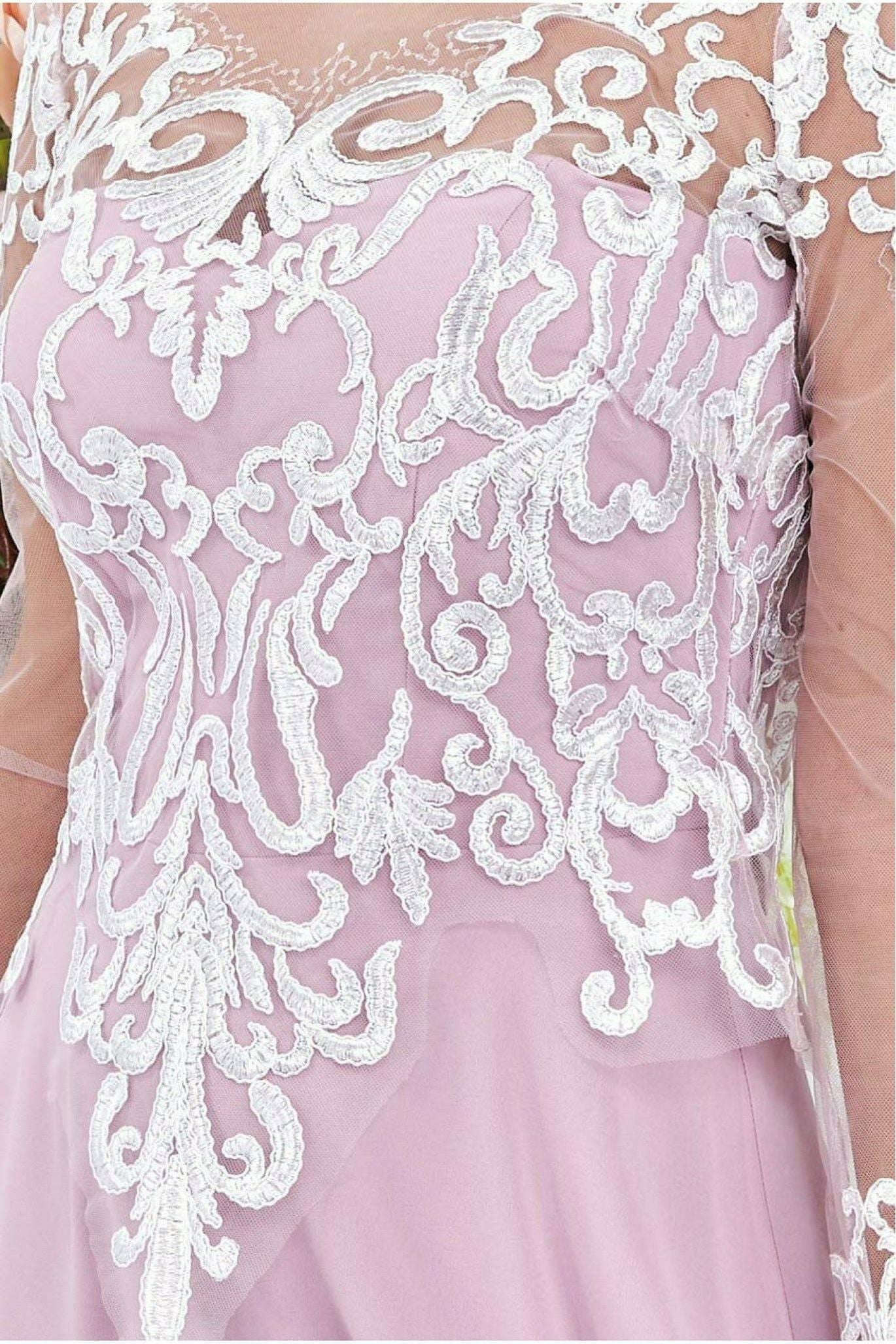 Mesh & Lace Embroidered Bodice Maxi - Blush DR3260